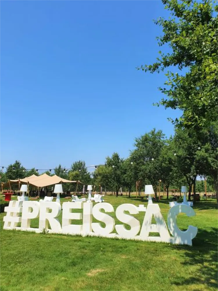 psb-lounge-toulouse-occitanie-Mariage au Domaine de Preissac-2