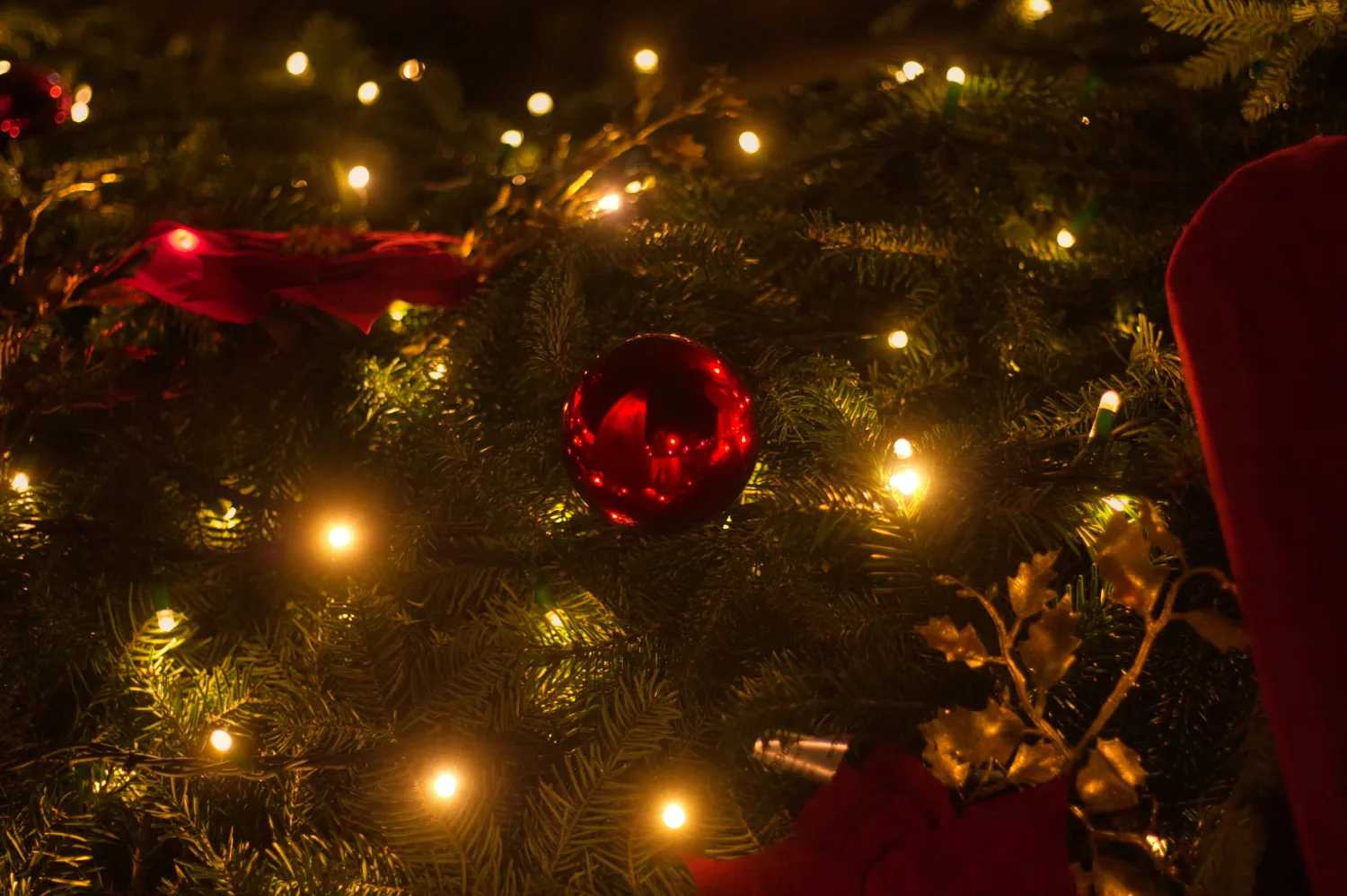 Mascotte de Noël accompagnée d'un animateur lors d'une animation en Occitanie