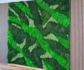 psb-lounge-agence-evenementielle-toulouse-occitanie-fresque